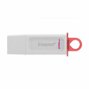 Kingston Exodia/256GB/USB 3.2/USB-A/Bílá
