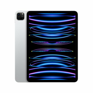 iPad Pro 11" Wi-Fi 2TB Strieborný (2022)