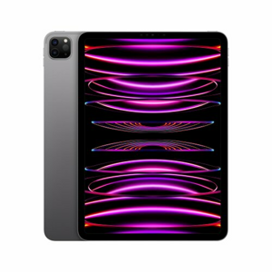 iPad Pro 11" Wi-Fi + Cellular 2TB Kozmický sivý (2022)