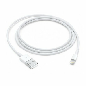 Lightning to USB Cable (1 m)